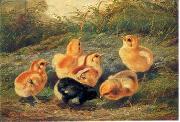 unknow artist chickens 196 oil on canvas